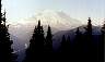 ranier2.jpg